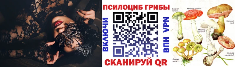 Галлюциногенные грибы ЛСД  купить закладку  Советская Гавань 